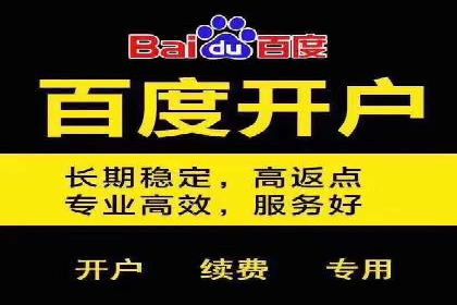 百度推广实战案例：从零开始打造爆款